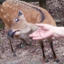 สมาชิกหมายเลข 3089343