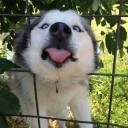 สมาชิกหมายเลข 3746658