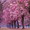 สมาชิกหมายเลข 1224151