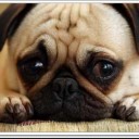 สมาชิกหมายเลข 4210996