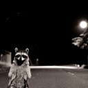 สมาชิกหมายเลข 4604365