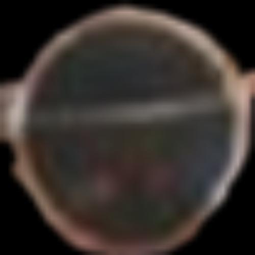 สมาชิกหมายเลข 5355872