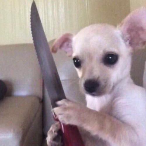 สมาชิกหมายเลข 1598865