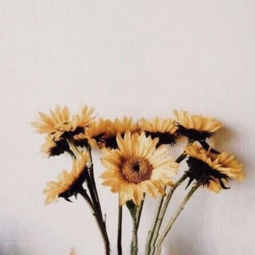 สมาชิกหมายเลข 3941683