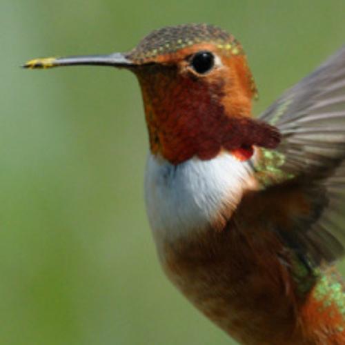 สมาชิกหมายเลข 5832950