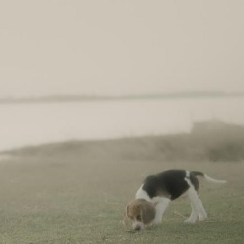 สมาชิกหมายเลข 1989768