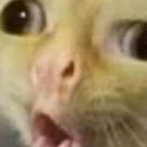 สมาชิกหมายเลข 3813140