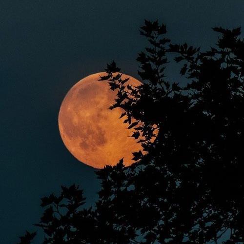 สมาชิกหมายเลข 6439897