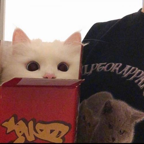 สมาชิกหมายเลข 6440021