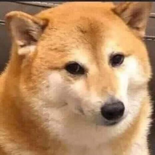 สมาชิกหมายเลข 1936819