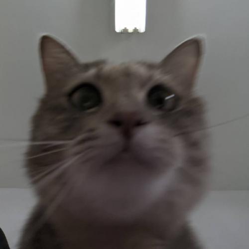 สมาชิกหมายเลข 6737776