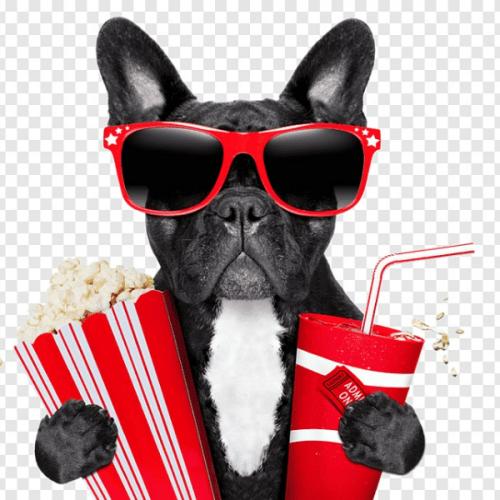 สมาชิกหมายเลข 4683444