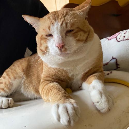 สมาชิกหมายเลข 6314294