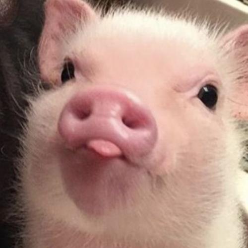 สมาชิกหมายเลข 6577155