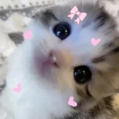 สมาชิกหมายเลข 7579571