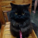 สมาชิกหมายเลข 959897