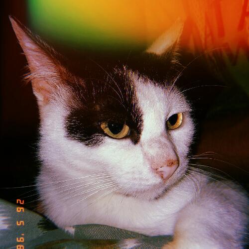 สมาชิกหมายเลข 4607076