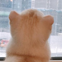 สมาชิกหมายเลข 4256096