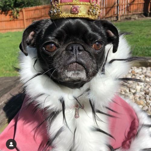 สมาชิกหมายเลข 5329808