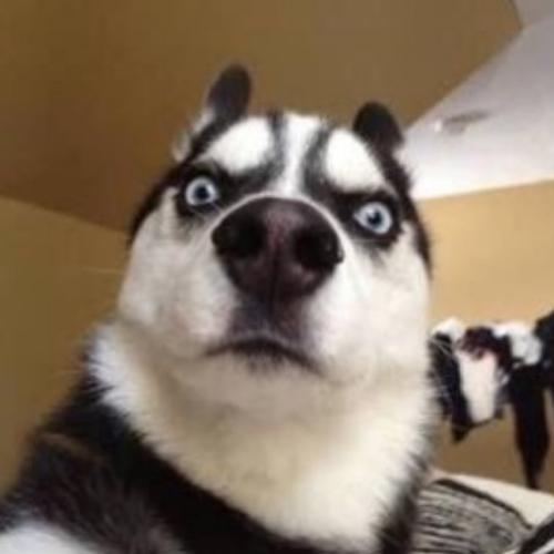 สมาชิกหมายเลข 5356508