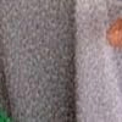 สมาชิกหมายเลข 5837114