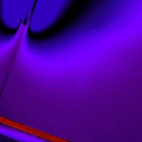 สมาชิกหมายเลข 7137030