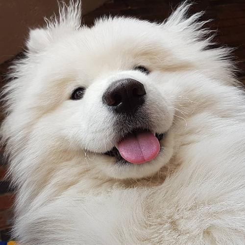 สมาชิกหมายเลข 7137404