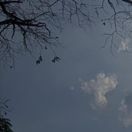 สมาชิกหมายเลข 5184342