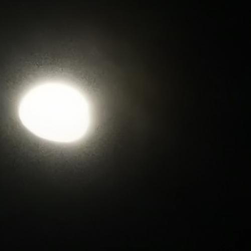 สมาชิกหมายเลข 6405113