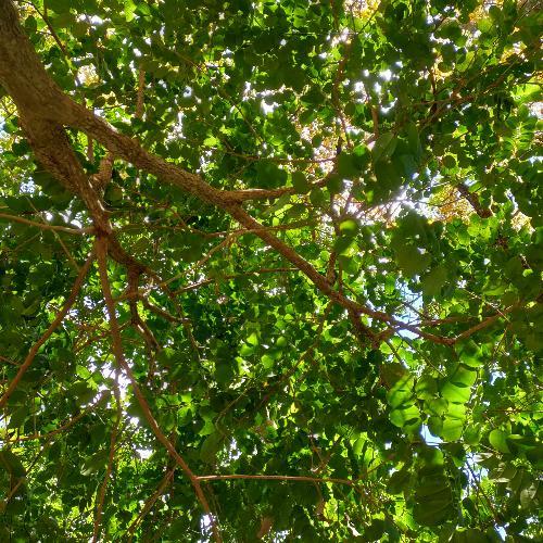 สมาชิกหมายเลข 7901405