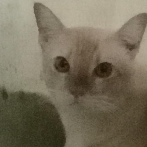 สมาชิกหมายเลข 7927125