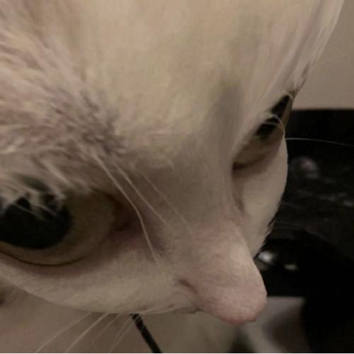 สมาชิกหมายเลข 3814666