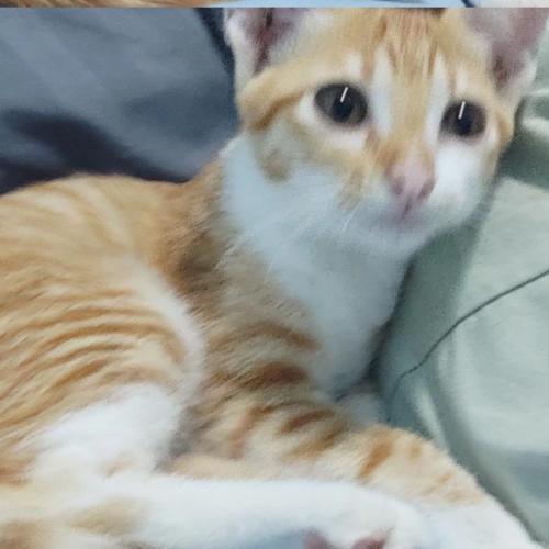 สมาชิกหมายเลข 8034256