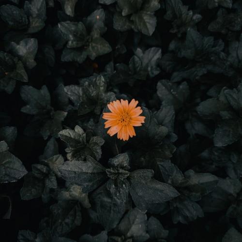 สมาชิกหมายเลข 8947721