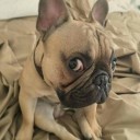 สมาชิกหมายเลข 1531721