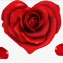 สมาชิกหมายเลข 4607421