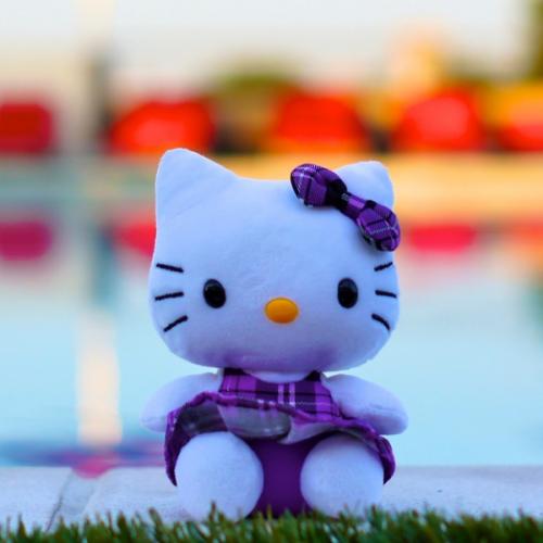 สมาชิกหมายเลข 1558662