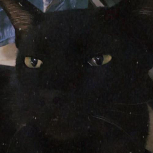 สมาชิกหมายเลข 1905139