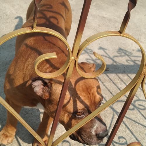 สมาชิกหมายเลข 5837609