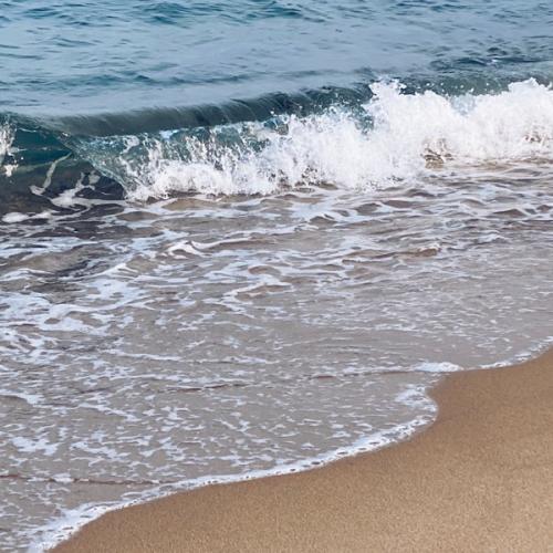 สมาชิกหมายเลข 4415893