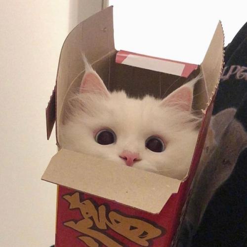 สมาชิกหมายเลข 6440858