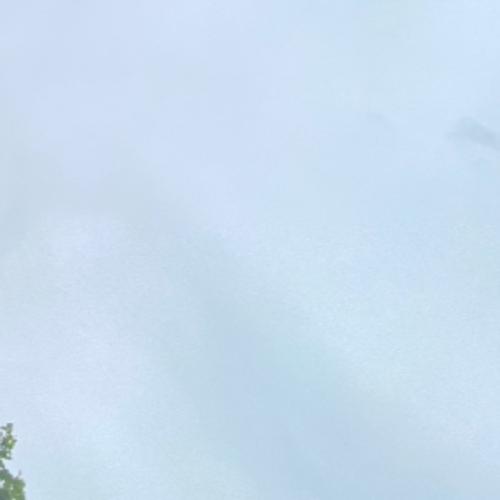 สมาชิกหมายเลข 5487278