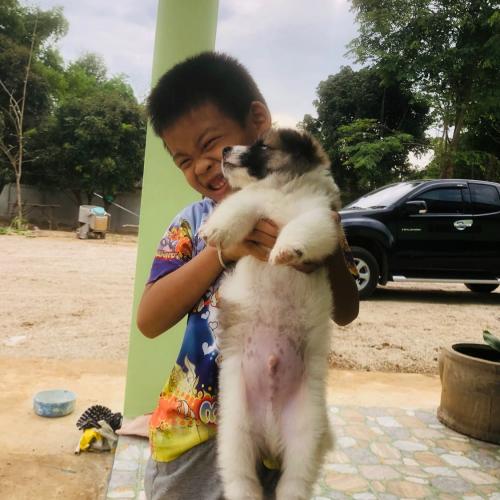 สมาชิกหมายเลข 6259445