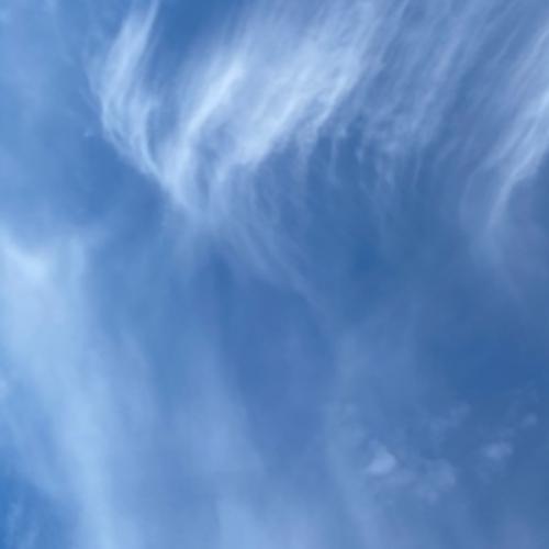 สมาชิกหมายเลข 7138191