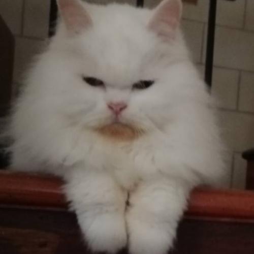 สมาชิกหมายเลข 7925615