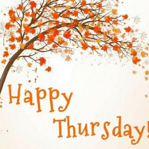 สมาชิกหมายเลข 4606696