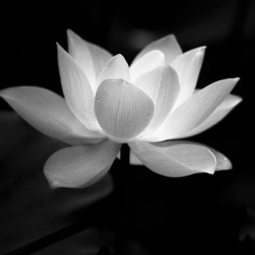 สมาชิกหมายเลข 6947148