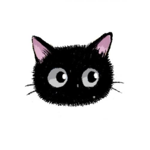 สมาชิกหมายเลข 8506201