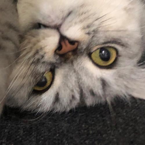 สมาชิกหมายเลข 8948128