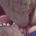 สมาชิกหมายเลข 2712101